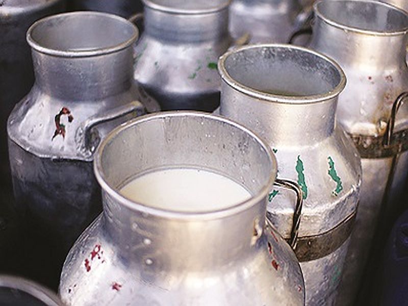 Kolhapur flood affects Goa dairy milk supply | कोल्हापुरातील पुराचा गोवा डेअरीला फटका