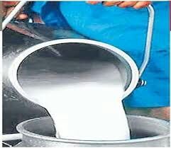 Milk procurement rates fluctuate; The purchase of cow's milk came from Rs. 5 to Rs | दूध खरेदी दरात चढउतार सुरू; गायीच्या दुधाची खरेदी आली ३० वरून २७ रुपयांवर