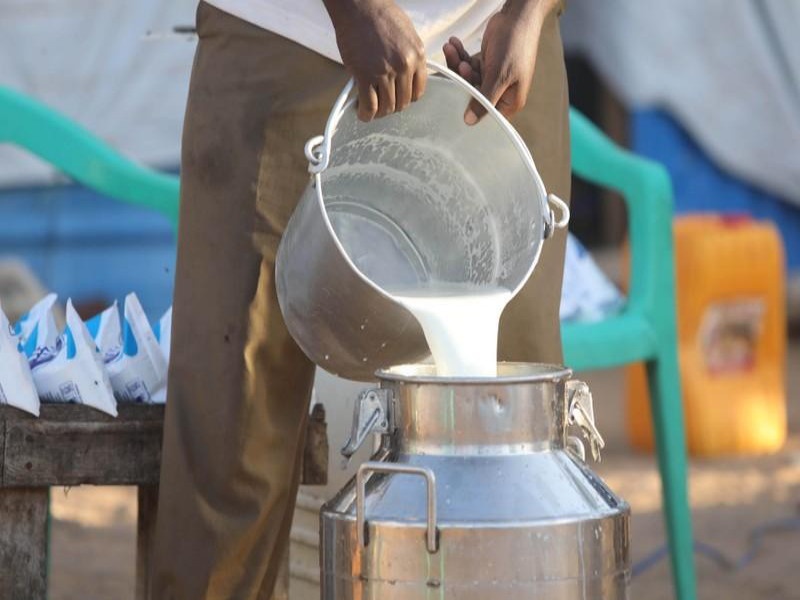 For the purchase of milk, do not 3 but give 5 rupees per liter subsidy: State Milk Professional Association | दूध खरेदीसाठी ३ नव्हे ५ रुपये प्रतिलिटर अनुदान द्या : राज्य दूध व्यावसायिक संघटना  