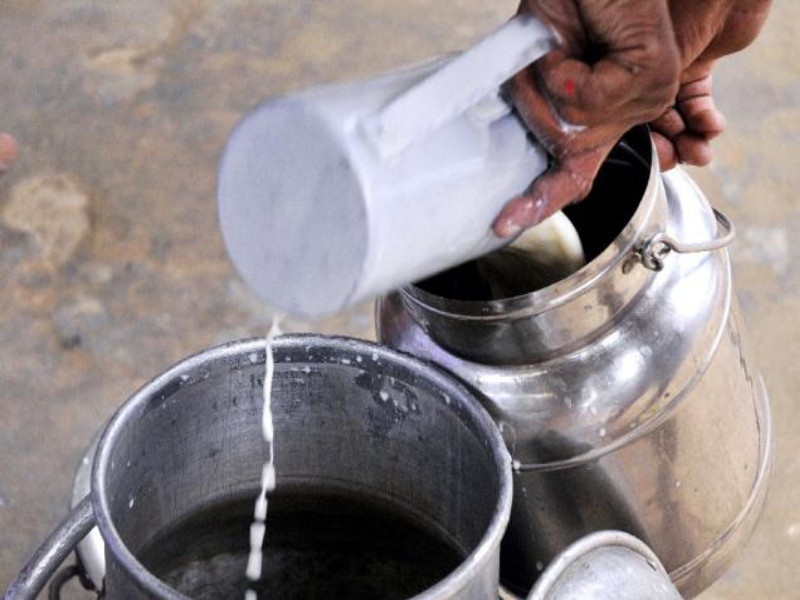 One rupees per liter will be given to katraj milk producers | कात्रज दूध उत्पादकांना देणार लिटरमागे एक रुपया