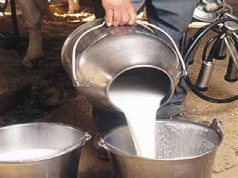 A women's dairy gives 70 rupees for one liter milk In Maval taluka | मावळ तालुक्यात महिलांची डेअरी लिटरला देते ७० रुपये दर