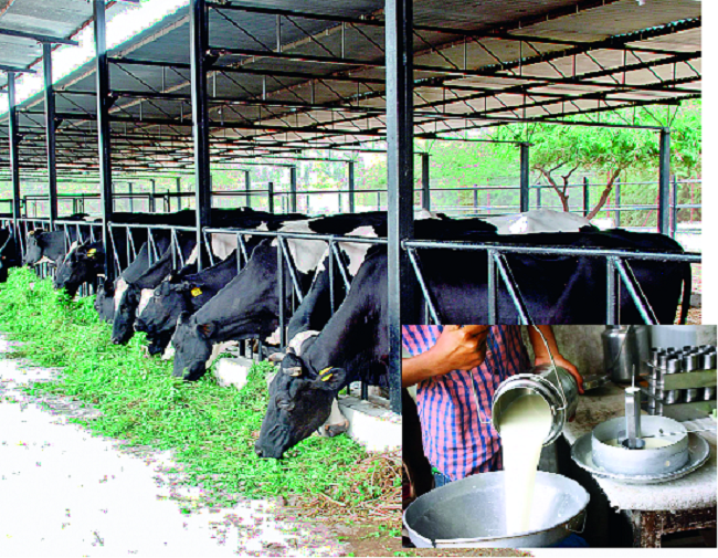 Farmers in crisis due to fall in milk prices ..! | दूध दर ढासळल्याने शेतकरी संकटात..!