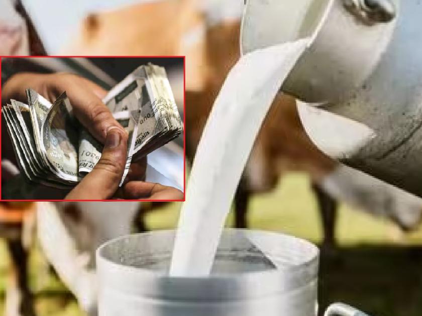 For cow milk subsidy, money will be deposited in the accounts of 50 thousand farmers of Kolhapur district in four days | दूध अनुदान योजना: ५० हजार शेतकऱ्यांच्या खात्यावर चार दिवसांत पैसे