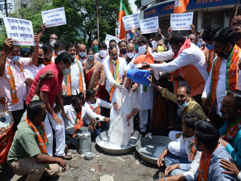 BJP's milk anointing of Sharad Pawar's image for milk price hike | दुध दरवाढीसाठी भाजपचा शरद पवार यांच्या प्रतिमेला दुग्धाभिषेक