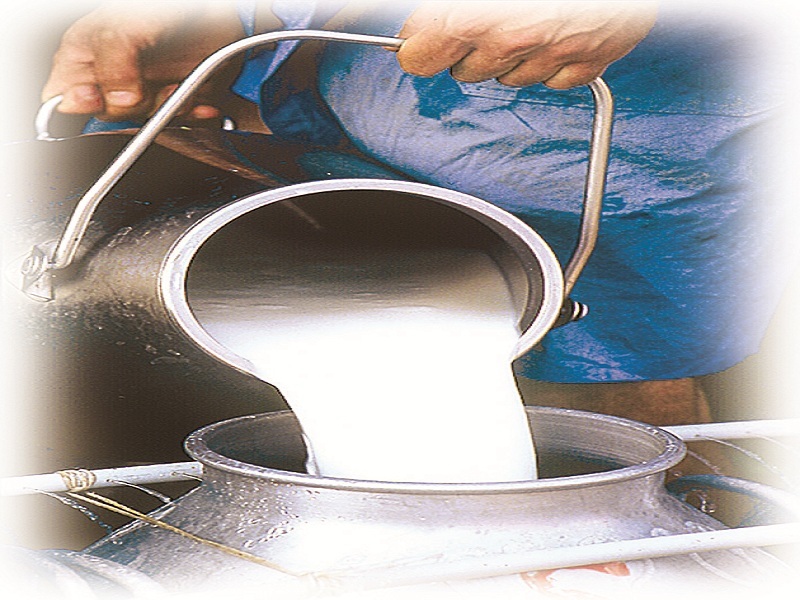 Sakal Maratha Samaj will stop milk supply; Determination to agitate till reservation is obtained | सकल मराठा समाज दूधपुरवठा रोखणार; आरक्षण मिळेपर्यंत आंदोलन करण्याचा निर्धार