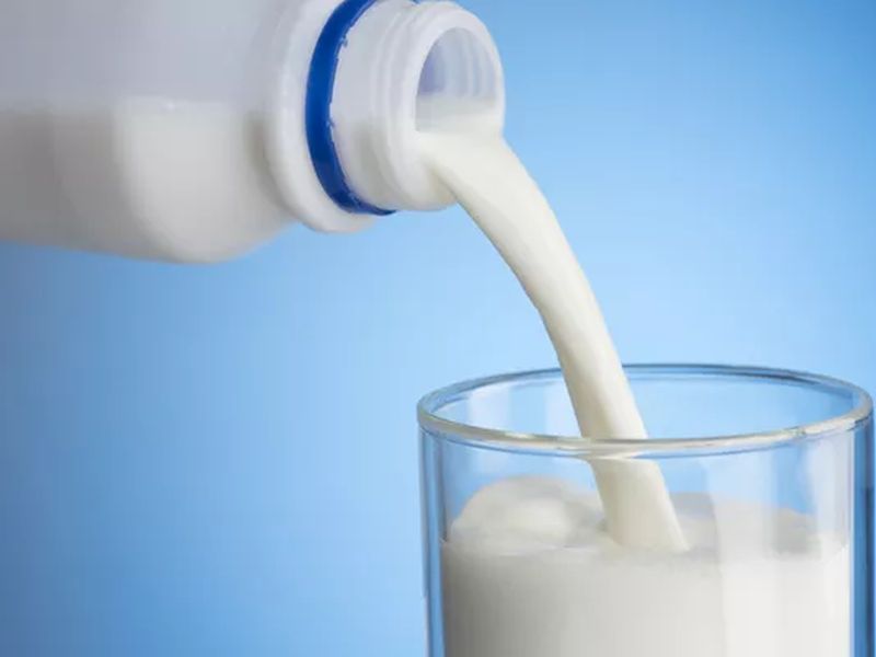 Do you know which milk contains the most protein | कोणत्या दुधात असतात सर्वात जास्त प्रोटीन? जाणून घ्या उत्तर