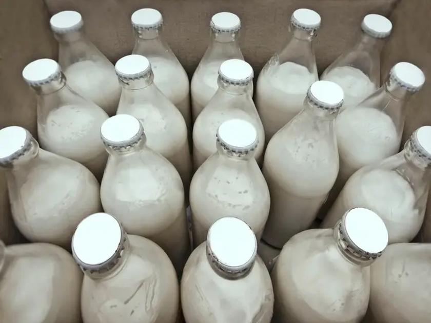 Subsidy Rs 5 per liter to milk producers; Declaration of Radhakrishna Vikhe Patil in the Legislative Assembly | दूध उत्पादकांना प्रतिलिटर ५ रुपये अनुदान; राधाकृष्ण विखे पाटील यांची विधानसभेत घोषणा