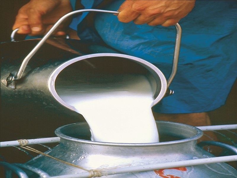 State-wide Elgar of milk producers: Sangharsh Samiti's milk anointing agitation in front of villages from tomorrow | दूध उत्पादकांचा राज्यव्यापी एल्गार : संघर्ष समितीचे उद्यापासून गावोगावी चावडीसमोर दुग्धाभिषेक आंदोलन