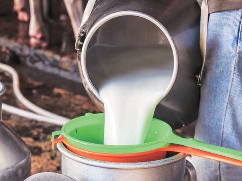 mother dairy s token milk will be cheaper by four rupees | Milk Price Update : 'या' कंपनीचं दूध चार रुपयांनी स्वस्त मिळणार 
