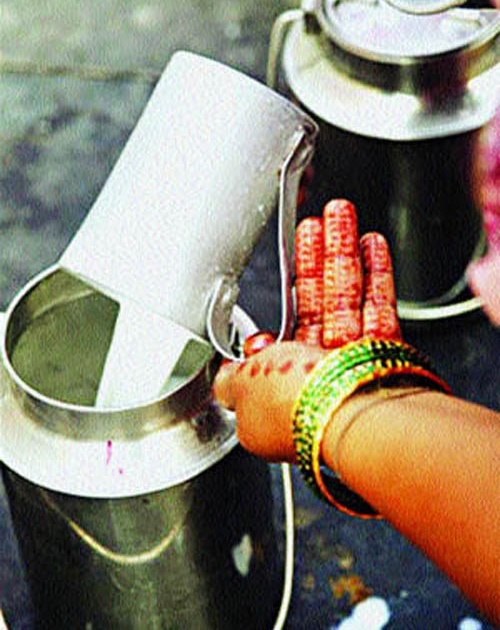 Solapur district bank after milk bank loss | सोलापूर जिल्हा बँकेपाठोपाठ दूध संघही तोट्यात