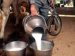 Due to the downturn in milk, the farmers face financial difficulties | दुधाचे भाव घसरल्याने शेतकरी आर्थिक अडचणीत