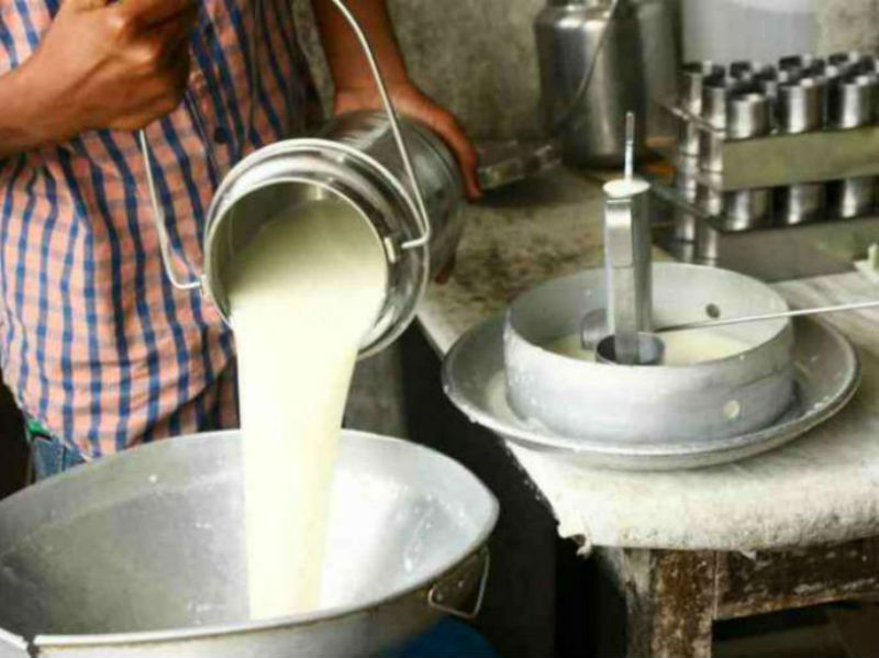 Solapur milk team profit of Rs 14 lakh | सोलापूर दूध संघाला १४ लाखांचा नफा