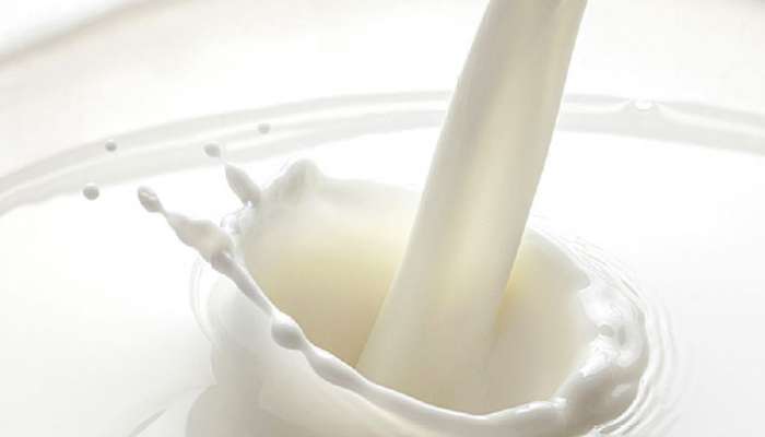 Cow milk powder prices rise in domestic market | देशांतर्गत बाजारपेठेत गाय दूध पावडरच्या दरात वाढ