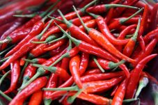 The pace of the arrival of 2,000 quintals of chilli every day in the market committee | बाजार समितीत दर दिवशी 2 हजार क्विंटल मिरचीच्या आवकमुळे तेजी