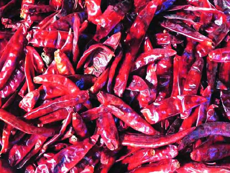 'Corona' affects pepper Chili ; Prices fell by Rs 4 thousand | ‘कोरोना’चा मिरचीवर परिणाम; भाव ४ हजार रुपयांनी घसरले