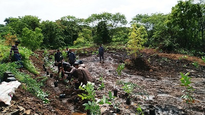 Commencement of Miyawaki forest cultivation at Shivaji University | शिवाजी विद्यापीठात मियावाकी जंगल लागवडीचा प्रारंभ