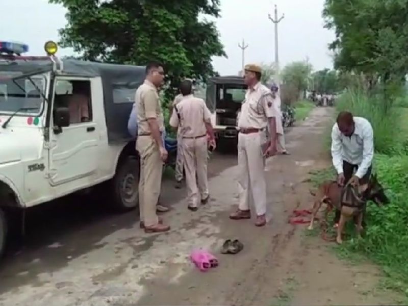 Mob Lynching: man allegedly beaten to death by mob in Alwar | Mob Lynching : राजस्थानमध्ये गो तस्करीच्या संशयावरून एकाची हत्या, दोन अटकेत 