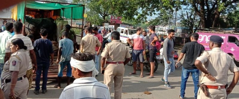 Stray animals seized: Mankapur police raid | मोकाट जनावरे ताब्यात : मानकापूर पोलिसांची धडक कारवाई