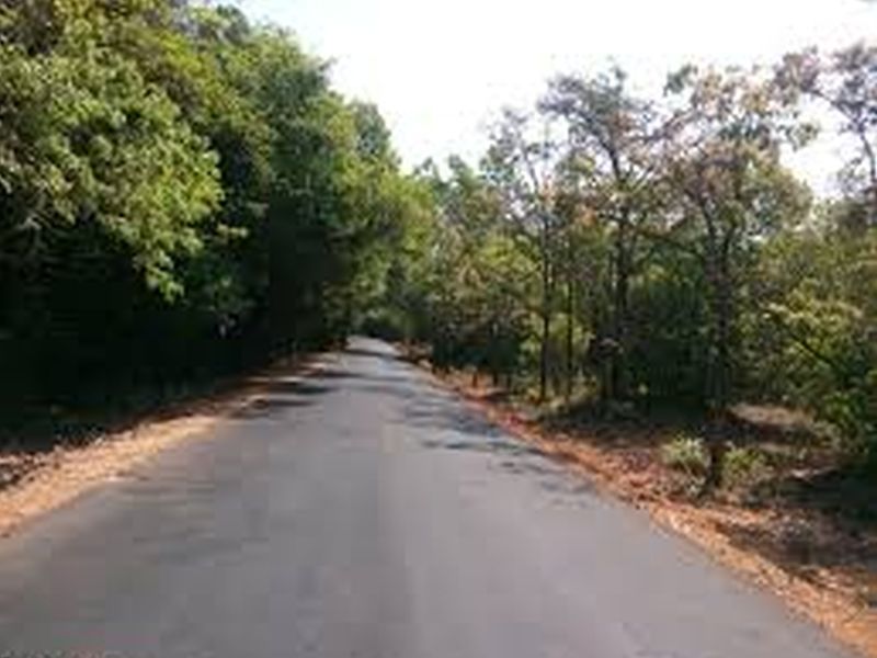 Goa: Approval of State Wildlife Advisory Board for Molan highway four-laning | गोवा : मोलें महामार्ग चौपदरीकरणास राज्य वन्य प्राणी सल्लागार मंडळाची मंजुरी