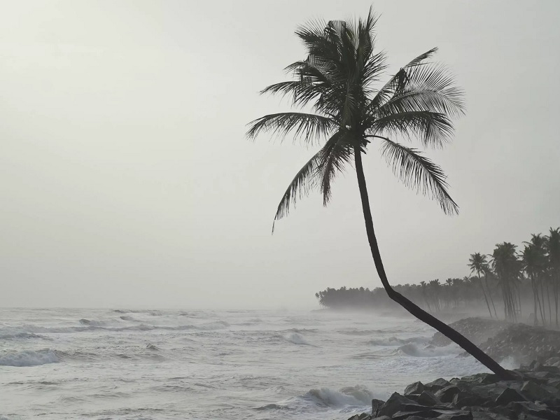 el nino Good news from the weather department! Monsoon has finally arrived in Kerala | आनंदाची बातमी! अखेर मान्सून केरळमध्ये दाखल; 'एल निनो' झाला होता विलंब