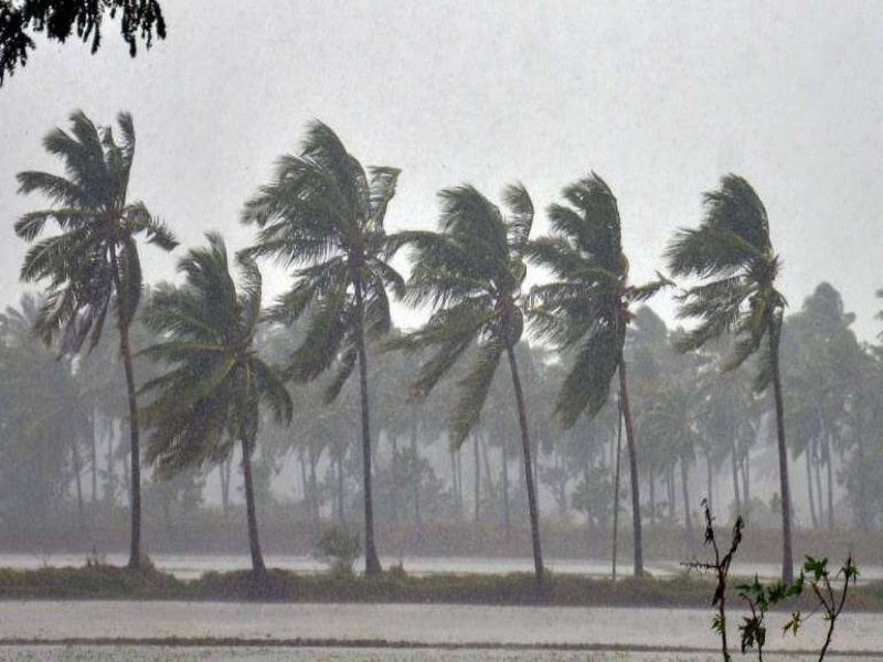 Monsoon arrives in Kerala; Indian Meteorological Department Announcement | खुशखबर ! मॉन्सून केरळमध्ये दाखल ; भारतीय हवामान विभागाची घोषणा