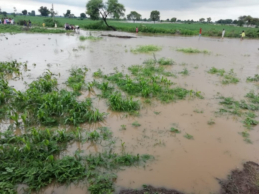 Crops on the hundreds of hectares under flood water | मोर्णेच्या पुराने शेकडो हेक्टरवरील पिके पाण्याखाली