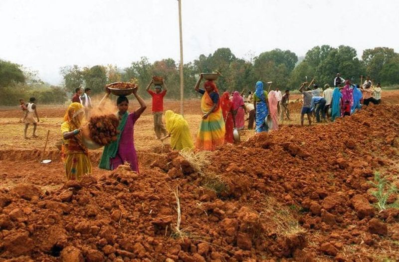 MNREGA works started at 8,642 Gram Panchayat levels in the state! | राज्यात ८,६४२ ग्रामपंचायत स्तरावर ‘रोहयो’ची कामे सुरू!