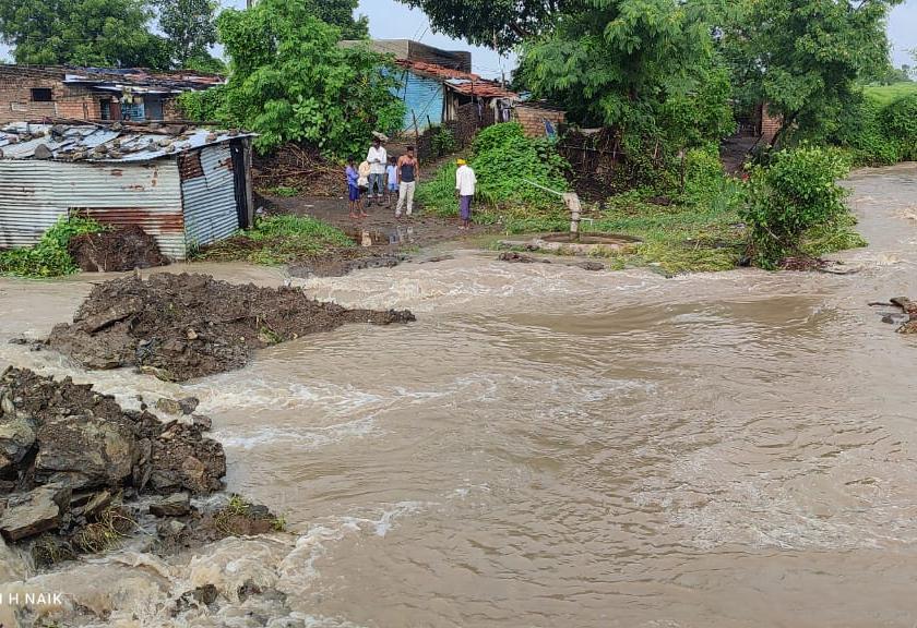 Heavy rain in Murtijapur taluka; Hundreds of hectares of farmland under water | मूर्तिजापुर तालुक्यात कोसळधारा; नदी- नाल्यांना पुर, शेकडो हेक्टर शेती पाण्याखाली 