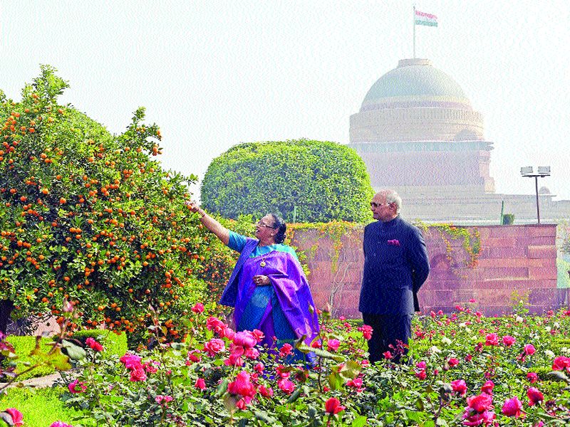 The Mughal Gardens in Rashtrapati Bhavan open to all | राष्ट्रपती भवनातील मुघल गार्डन आजपासून सर्वांना खुले