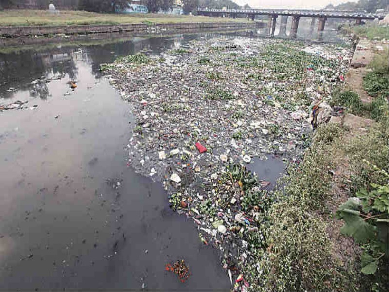 The bhumata organization will be conciousness in public about against river pollution : Dr. Budhajirao Mulik | नदी प्रदुषणाविरोधात भूमाता संस्था करणार जागर : कृषीतज्ञ डॉ. बुधाजीराव मुळीक 