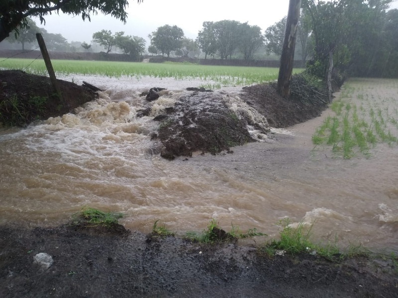 Cloudy rain in Mulshi and Temghar dam areas; Radish- flood a handful of rivers | मुळशी व टेमघर धरण परिसरात ढगफुटी सदृश्य पाऊस; मुळा- मुठा नद्यांना पूर