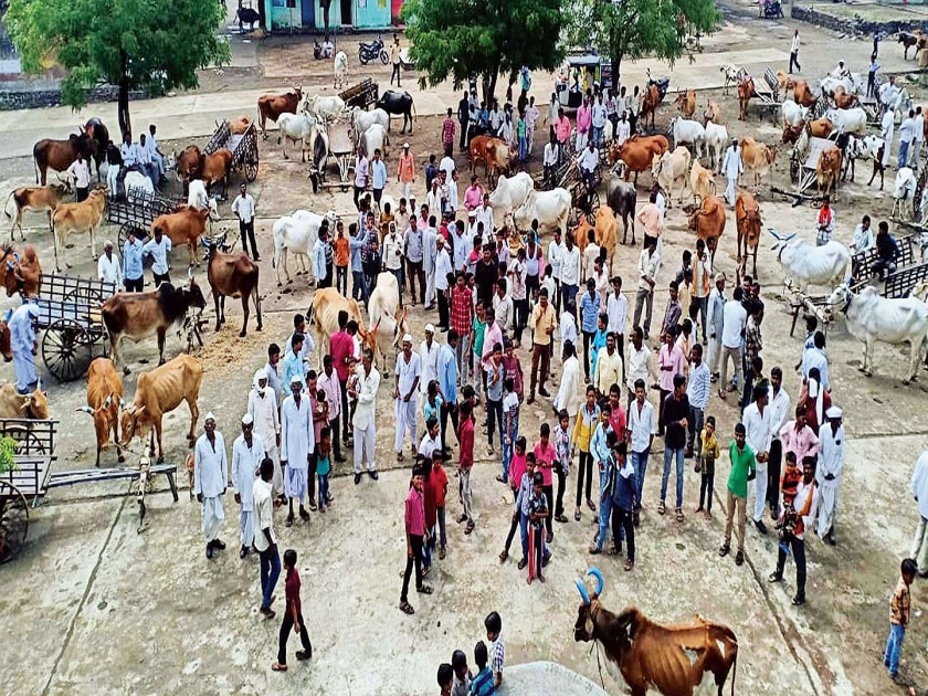 Gramasthar along with the cattle reached the road; | गुराढोरांसह ग्रामस्थ उतरले रस्त्यावर; उपासमारीमुळे सरकारचा निषेध
