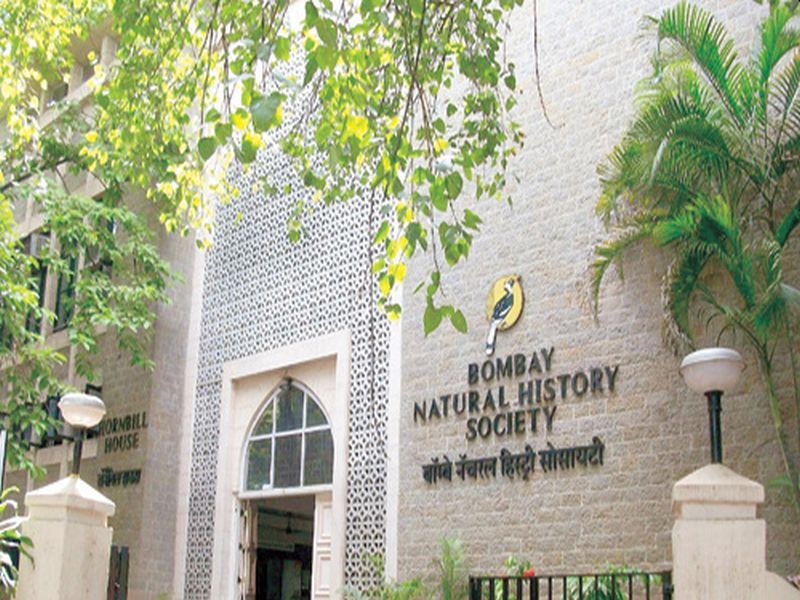 Bombay Natural History Society International Conference on Migratory Birds | पाणथळ जागा, स्थलांतरित पाणपक्ष्यांवर बॉम्बे नॅचरल हिस्ट्री सोसायटीची आंतरराष्ट्रीय परिषद