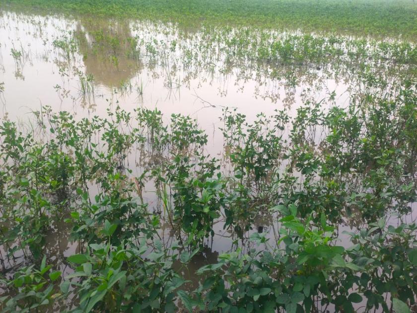 Rain: Heavy in Akola district, hailstorm in Kandi area | Rain: अकोला जिल्ह्यात मुसळधार, कानडी परिसरात गारपीट