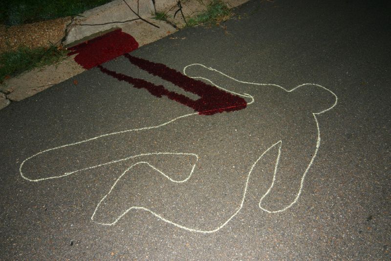 Husband's suicide by killing his wife | पत्नीचा खून करून पतीची आत्महत्या