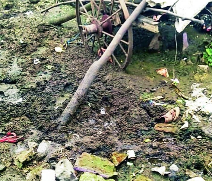 The baby was murdered and buried in a puddle at Ranala, Nagpur | नागपूरनजीकच्या रनाळा येथे बाळाचा खून करून उकिरड्यात पुरले