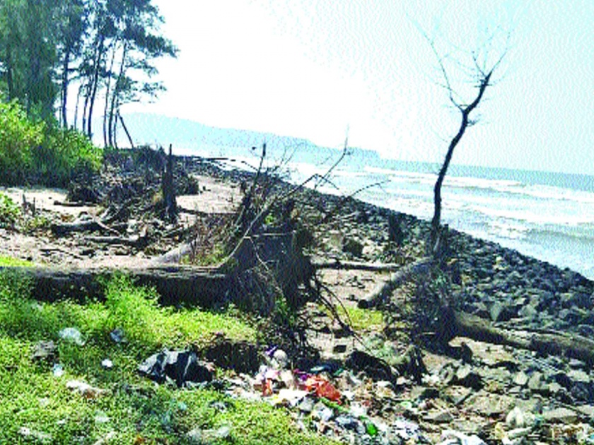 The plight of the Murud beach dam | मुरुड समुद्रकिनाऱ्याची बंधा-याअभावी दुर्दशा