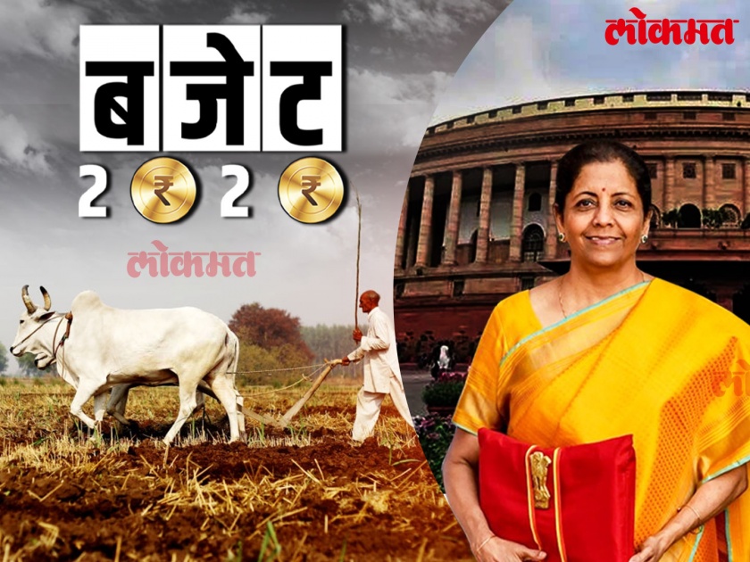 Agriculture Budget 2019 Nirmala Sitharaman: Impact of budget on agricultural sector and on farmers life | Agriculture Budget 2020 : शेतकऱ्यांचं उत्पन्न दुप्पट करण्यासाठी मोदी सरकारच्या १६ मोठ्या घोषणा 