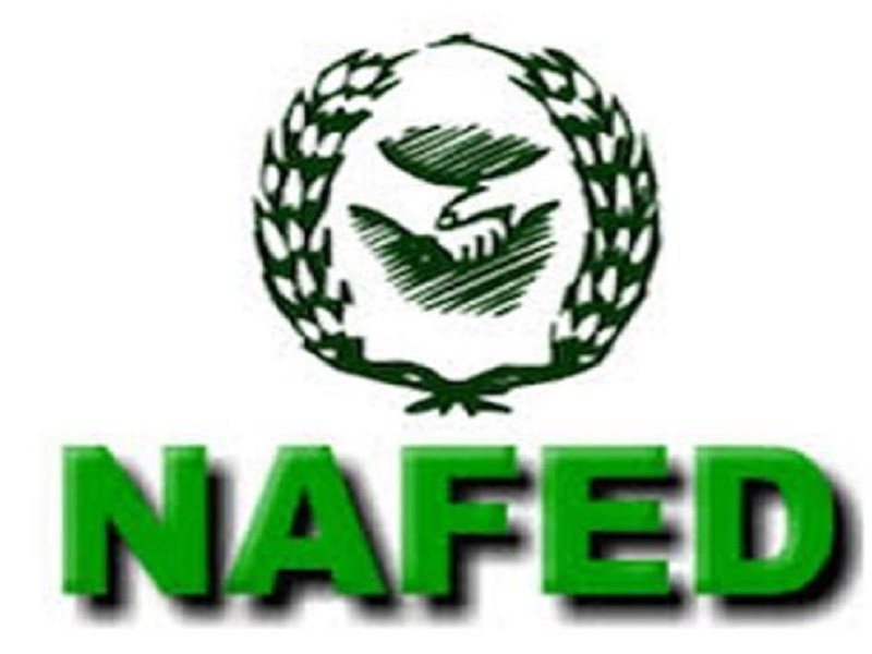 NAFED did not receive the goods! Higher prices in the market than guaranteed | ‘नाफेड’ला माल मिळेना ! हमीदरापेक्षा बाजारात अधिक भाव