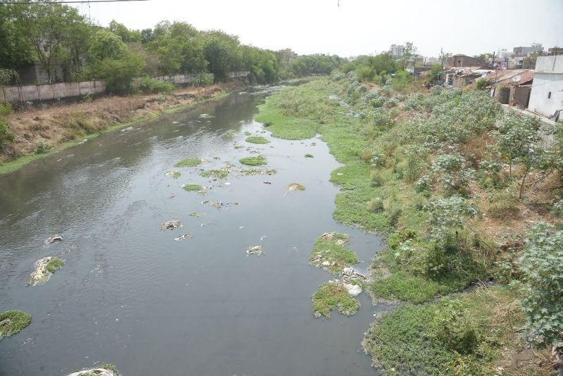 Naag nadi river,Piwali and Pora river will be cleaned: Jagar of cleanliness | नाग नदीसह पिवळी व पोराही उजळणार : स्वच्छतेचा जागर