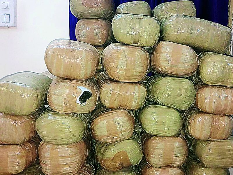 400 kg of ganja seized in Nagpur | नागपुरात ४०० किलो गांजा जप्त