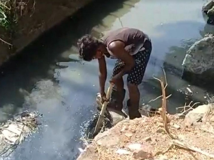 drain cleaning in mira bhayander | नालेसफाईसाठी कामगारांना करारनाम्याप्रमाणे मजुरी नाही