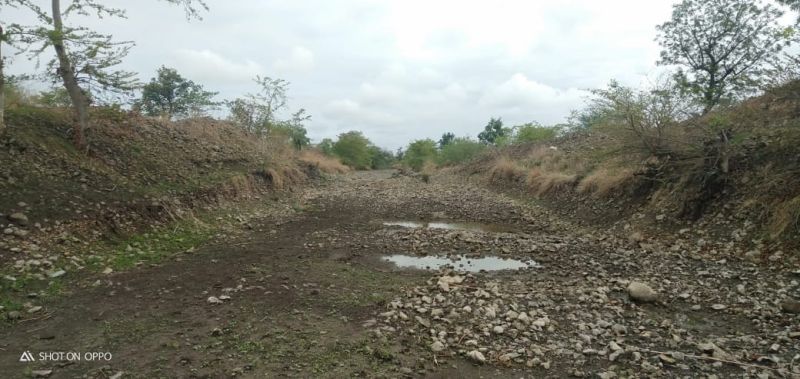 River in Rajura dried up | राजूरा परिसरातील नदी,नाले कोरडेच