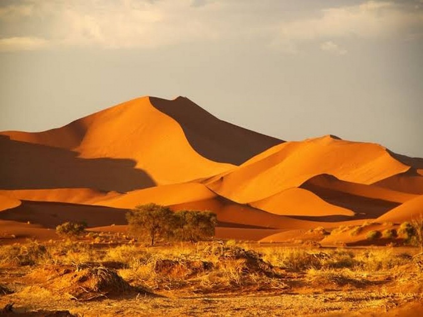 Unsolved mysteries of the worlds oldest desert Namib desert Africa | जगातल्या सर्वात जुन्या वाळवंटाचे न उलगडलेले रहस्य वाचून तुम्हीही व्हाल अवाक्....
