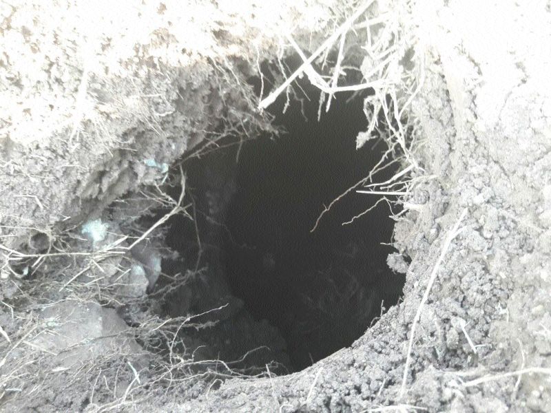 A deep pit found suddenly in the field, remained intact | शेतात अचानक आढळला खोल खड्डा, गुढ कायम