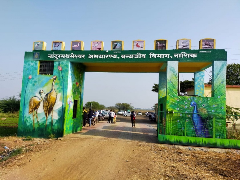 nandur madhmeshwar wildlife sanctuary gets ramsar status | अखेर नांदूरमध्यमेश्वरला मिळाला 'रामसर' दर्जा; आंतरराष्ट्रीय स्तरावर नाशिकची नवी ओळख