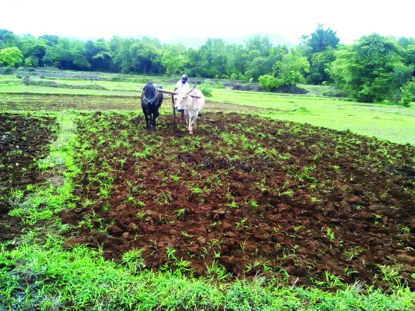 Farmers in the district are waiting for the rains | जिल्ह्यातील शेतकरी पावसाच्या प्रतीक्षेत