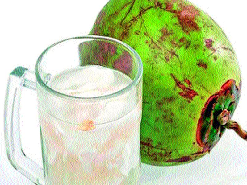 Coconut water becomes cheap ..!! | नारळ पाणी झाले स्वस्त..!, नागरिकांचा कल