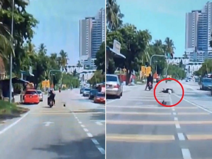 The coconut fell on the woman's head as she passed by road on scooty; Watch the shocking video | स्कूटीवरुन जाताना महिलेच्या डोक्यात पडला नारळ; पहा धक्कादायक व्हिडिओ