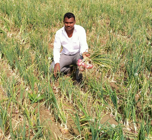 The modern crop has taken nine lakhs of onion in 5 knots | आधुनिक पीकपद्धतीने ६० गुंठ्यात घेतला नऊ लाखांचा कांदा